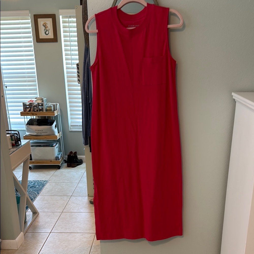Hot pink/red Sleeveless Dress